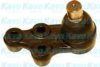 KAVO PARTS SBJ-7506 Ball Joint